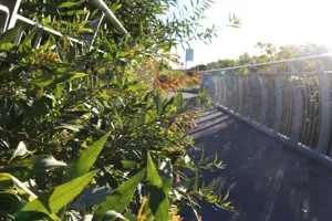 2025-06-21 Bartons Park - IMG_2559_compressed_q50.webp